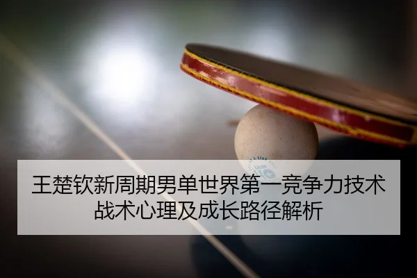 wang-chu-qin-xin-zhou-qi-nan-dan-shi-jie-di-yi-jing-zheng-li-ji-shu-zhan-shu-xin-li-ji-cheng-zhang-lu-jing-jie-xi-2-978.jpg